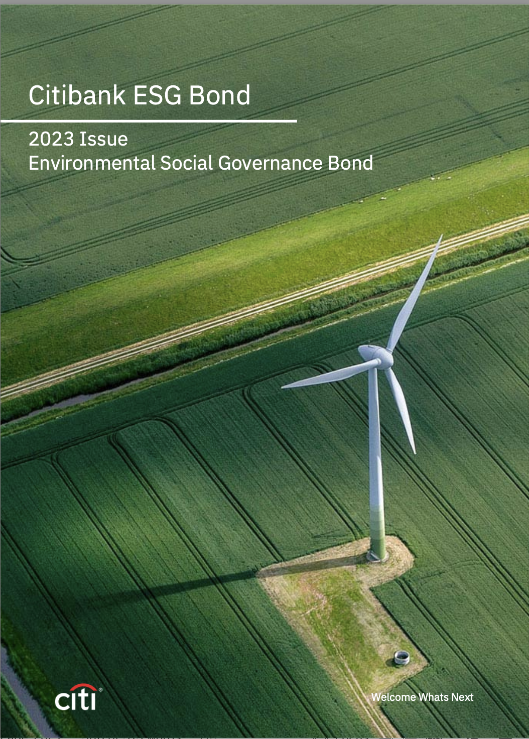 Cover of scam prospectus