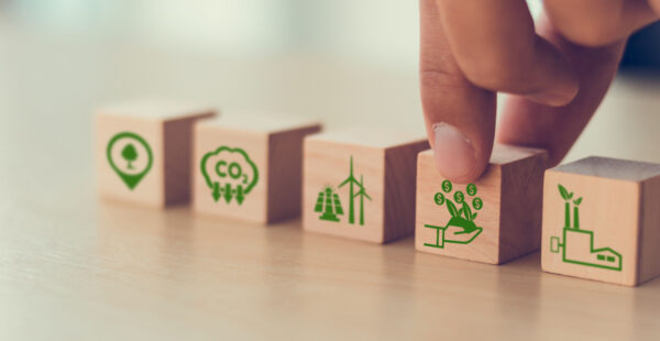 Green, sustainability bonds