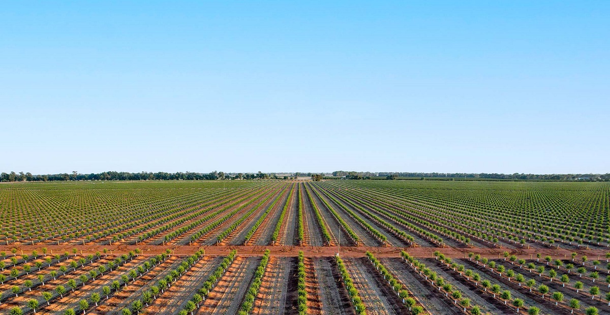 Griffith Riverina Qantas Super GO.FARM investment