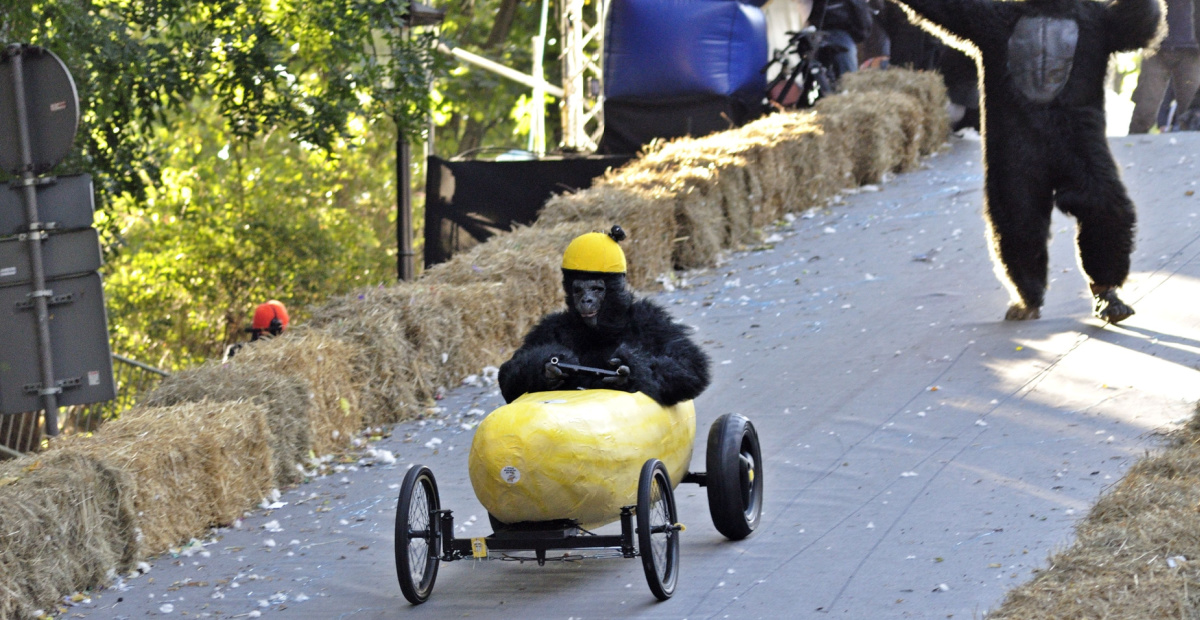 Gorillas and a soapbox racer