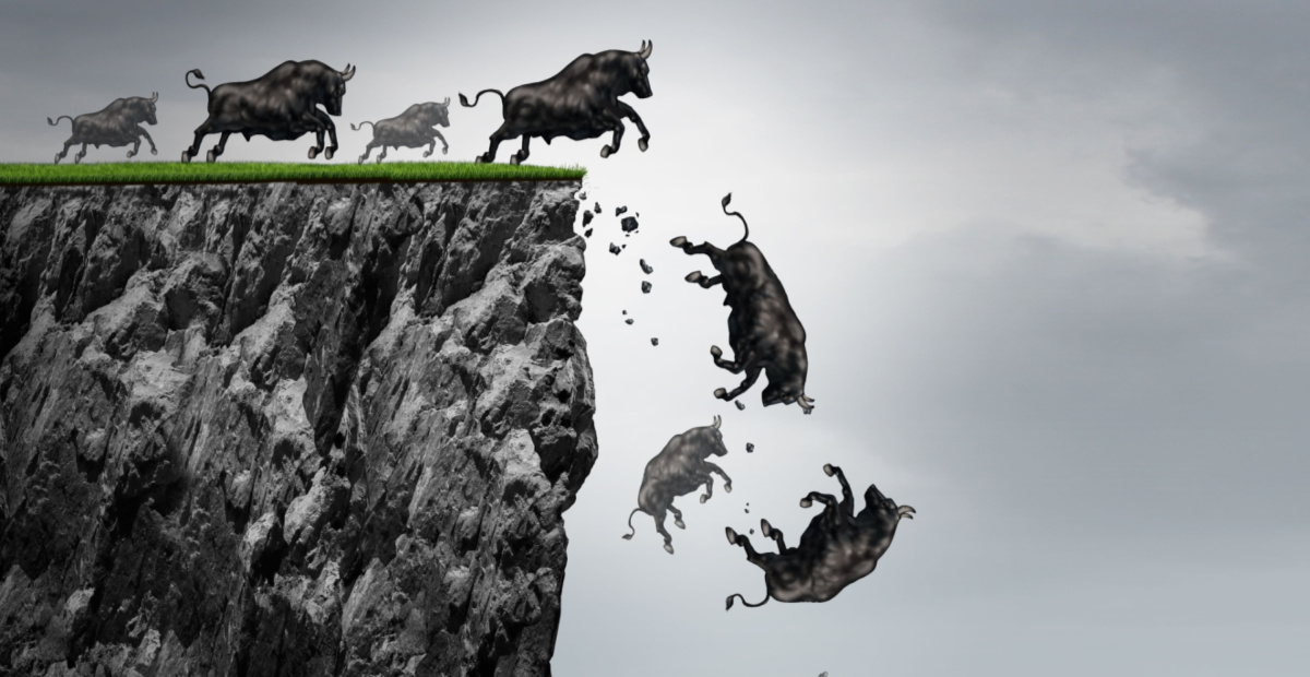 Bulls plummeting off a cliff