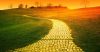 Yellow Brick Road