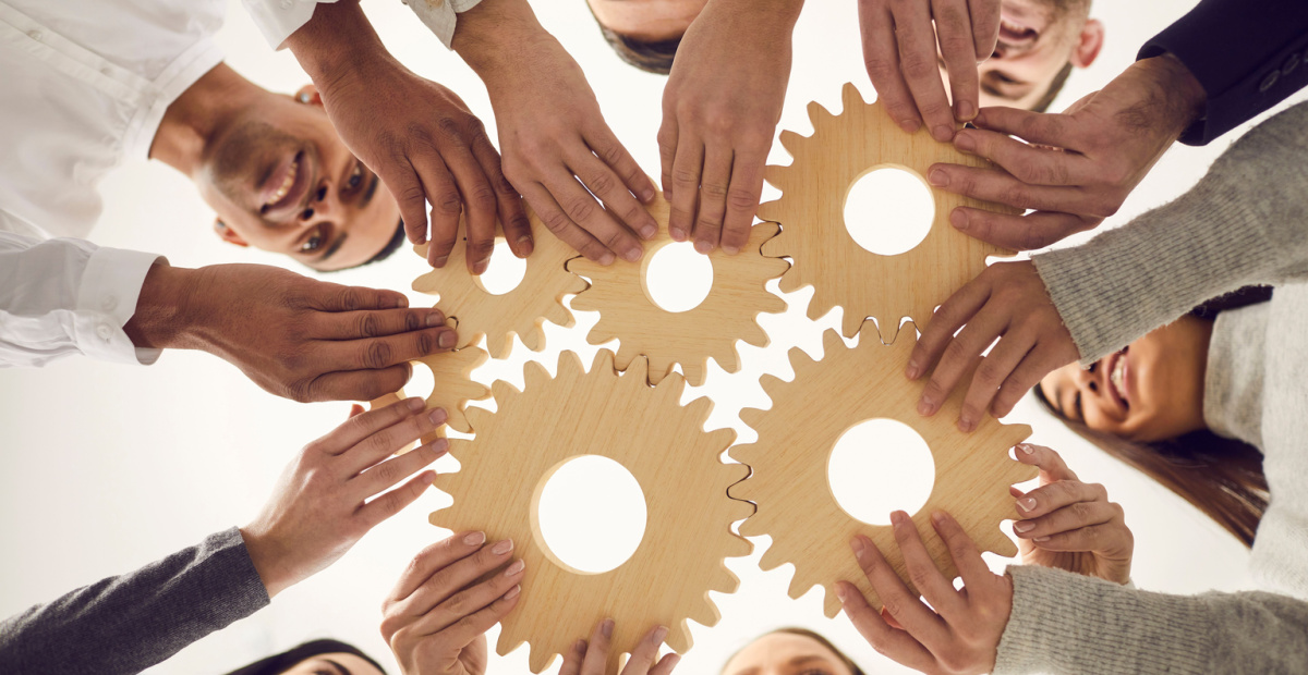 Hands holding cogs