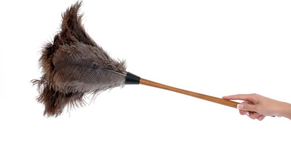 Feather duster
