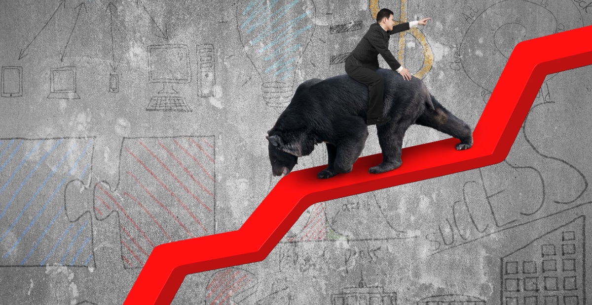 Man reversing bear market