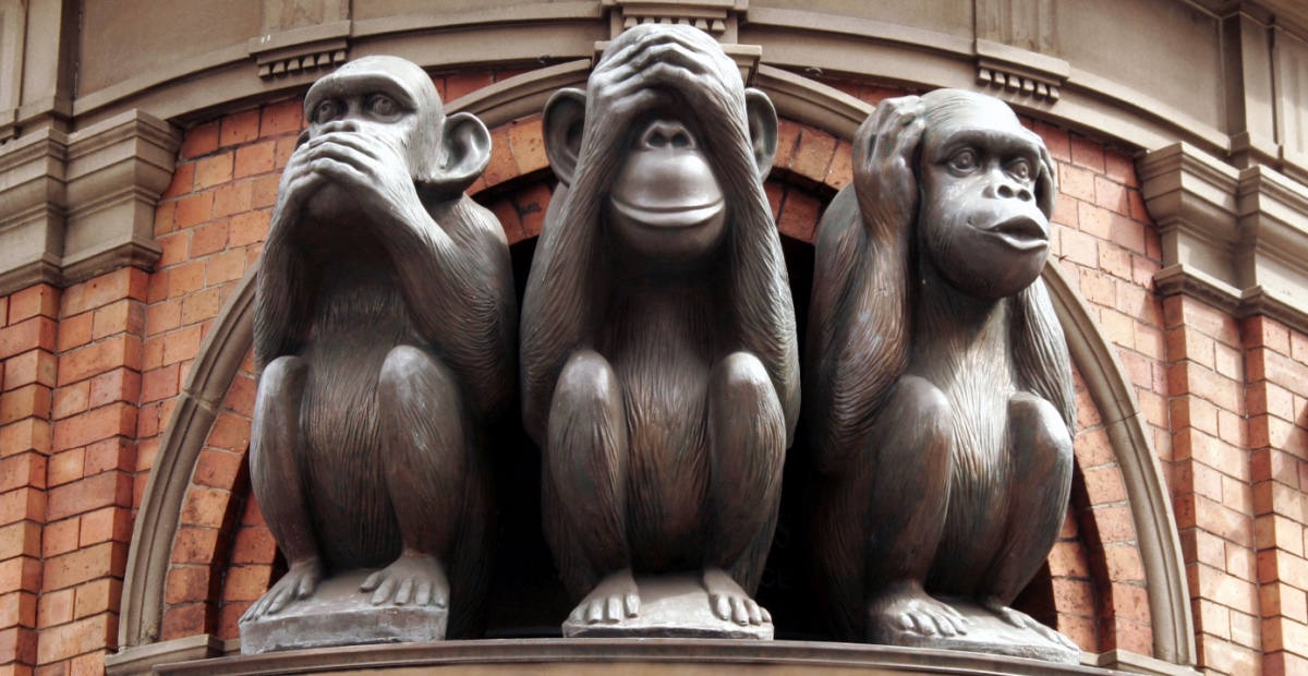 Three wise monkeys