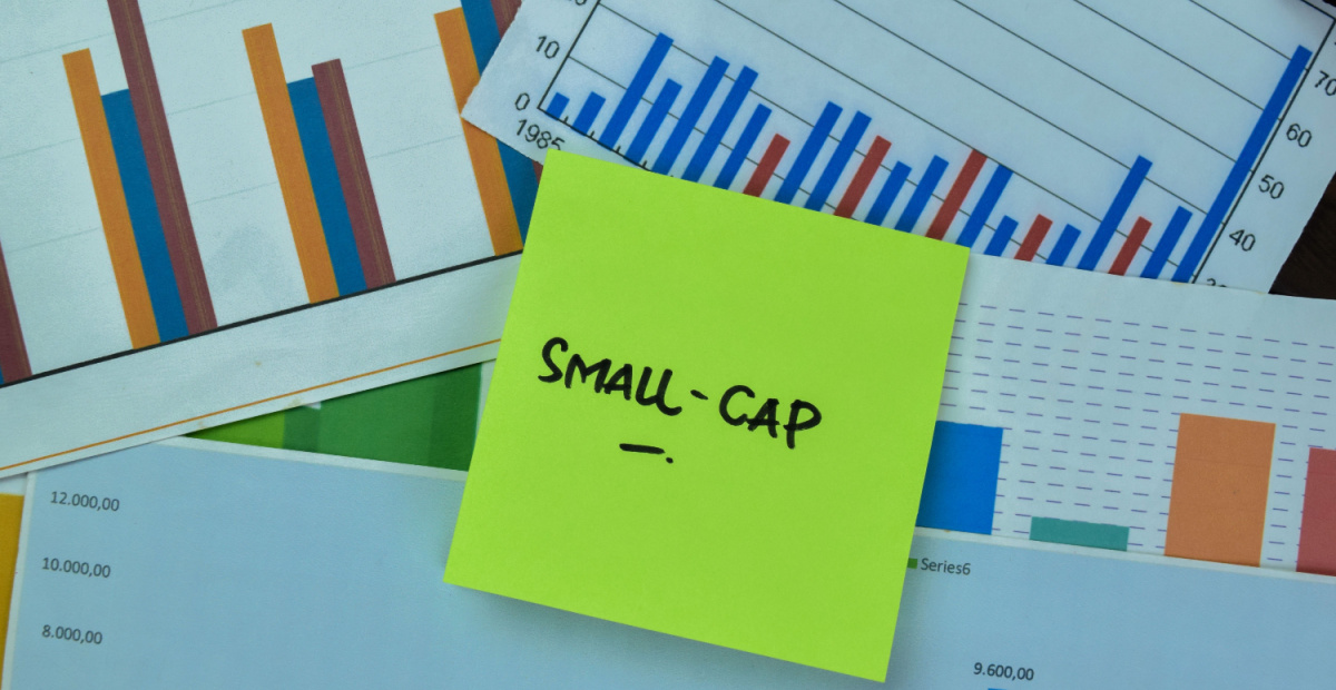 Boutique launches small caps fund on HUB24, Netwealth